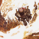 Illustration for article titled The Beautiful emFinal Fantasy/em Art of Yoshitaka Amano